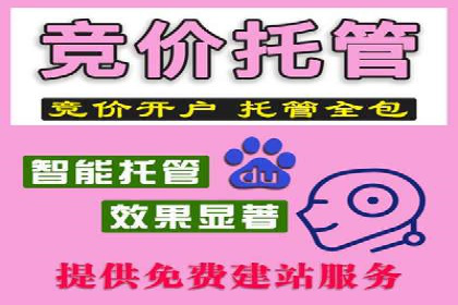 竞价广告的精准投放：看这家公司如何利用数据驱动增长